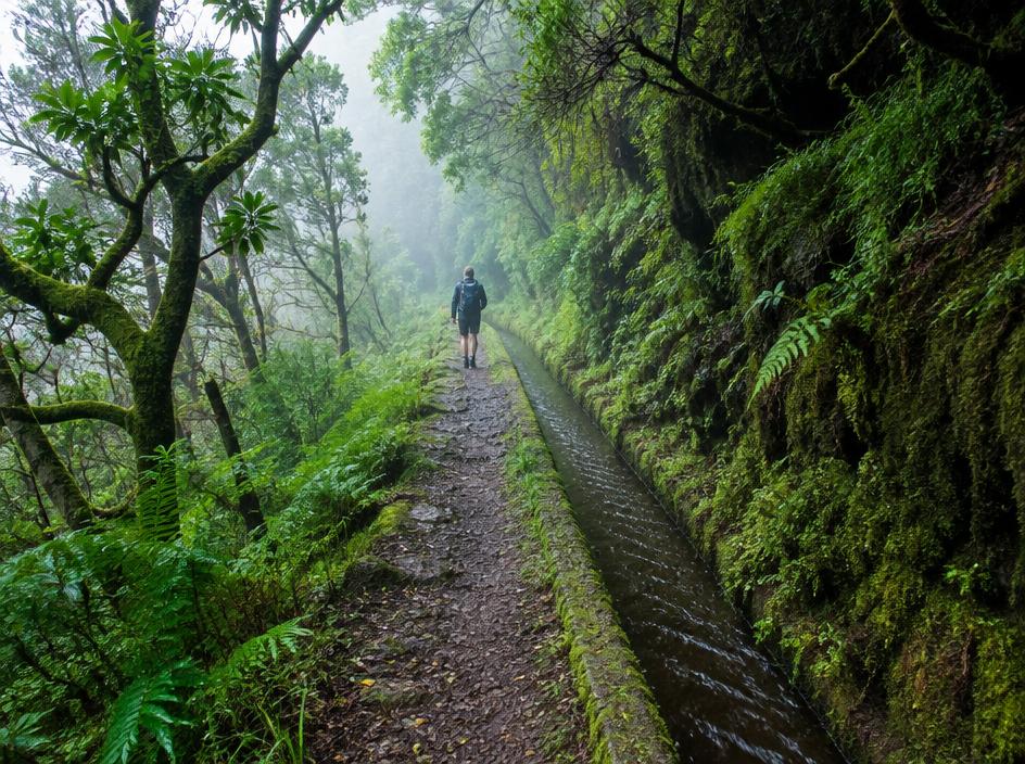 Levada das 25 Fontes